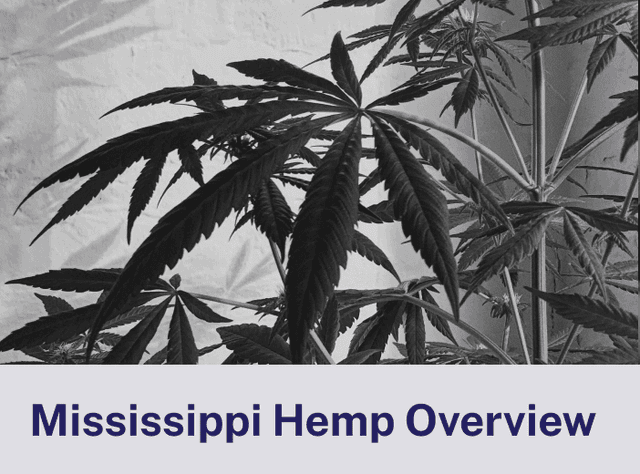 Mississippi Hemp Overview.png